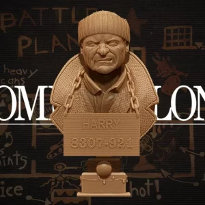 Home Alone Harry Bust