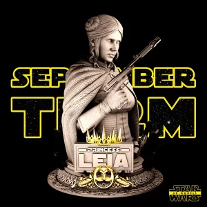 Leia Bust