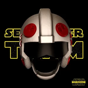 Luke and Leia Helmet