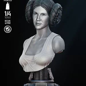 Leia New Hope Portrait Bust