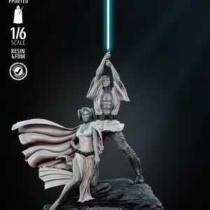 Luke and Leia New Hope Diorama